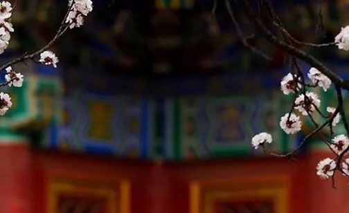 八字中正印是什麼意思 正印是正相關的作用