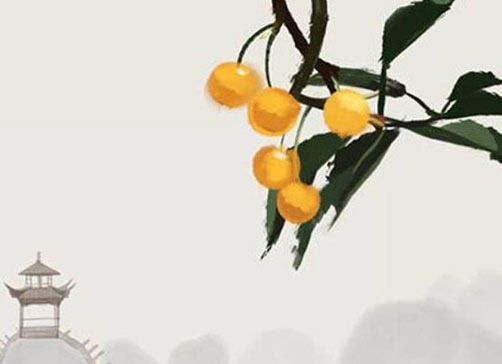 掌紋圖解女右手詳解婚姻線 成網格狀婚姻容易生變