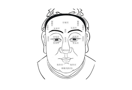 紫微斗數關於取象的問題