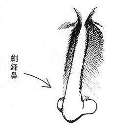 有什麼面相的女人最克夫？女人克夫面相