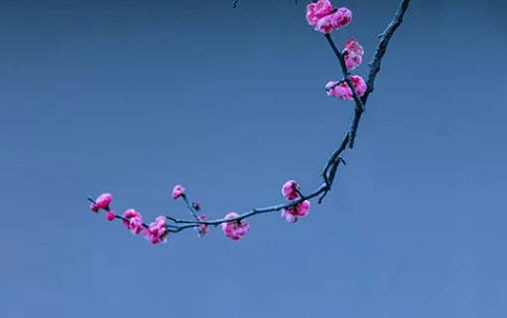 有利於夫妻感情的風水擺件 夫妻恩愛的風水擺件