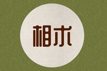 耳垂大的人什麼命運 有商業頭腦且財運不錯