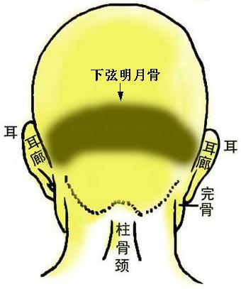骨相圖解:兩弦明月骨