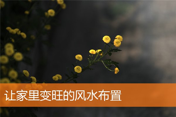 讓家裡變旺的風水布置