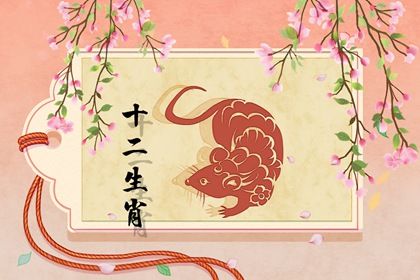 屬鼠人的一生命運 哪個時辰出生屬鼠的最好