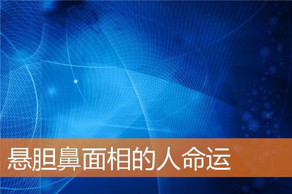 懸膽鼻面相的人命運
