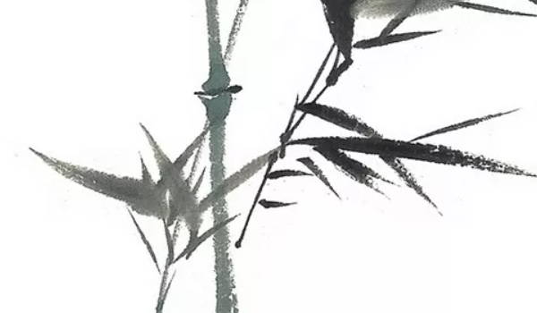 亥卯未三合是什麼意思，四柱大運和流年中出現該地支