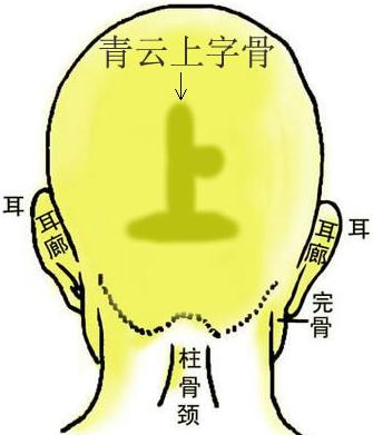 骨相圖解：青雲上字骨