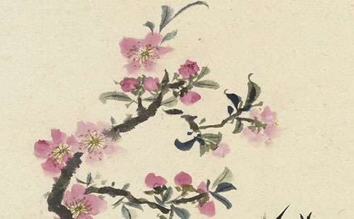 女人十個簸箕是什麼命多少歲轉運 奮斗發展好運來