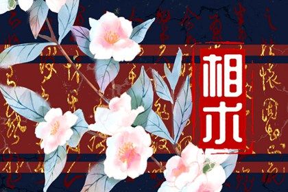 嫁得好的面相 得貴人幫助一生好命又富足