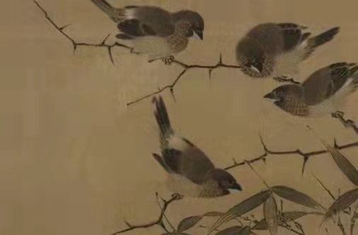 水命女孩有什麼特徵 成熟穩重人緣好