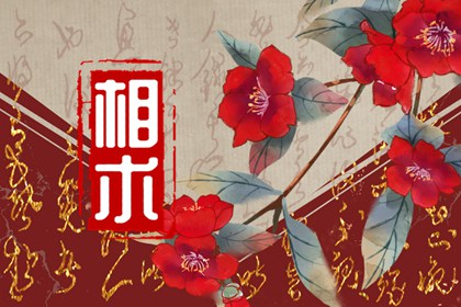 命中有貴子的痣長在哪裡 多子多福運勢旺