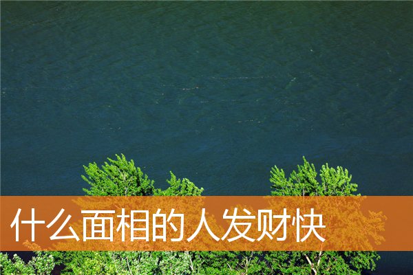什麼面相的人發財快