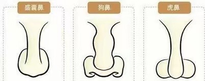 14種鼻型圖解 最全鼻子看相解讀命運