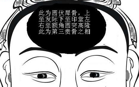 骨相圖解：伏犀骨