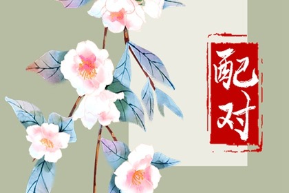 八字旺事業女命李雙林 傷官食神過旺能言善辯