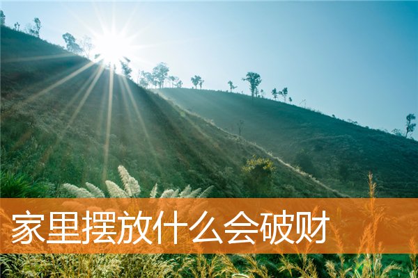 家裡擺放什麼會破財
