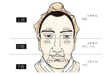 天生長八字鬍的男人面相分析——命運運勢
