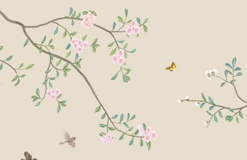 女人額頭有鳳毛富貴 眼睛有神最有財