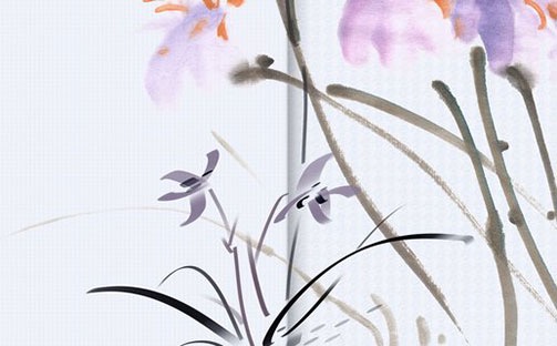 七殺女命的老公都很有錢 相貌優秀性格和善