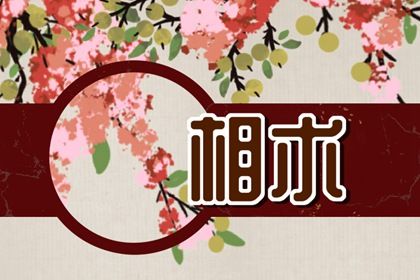 額頭不飽滿面相 賺錢能力弱