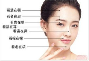 什麼面相的人適合創業
