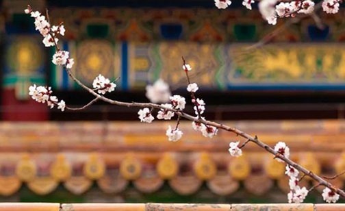 八字無印是好命 財運上乘衣食無憂