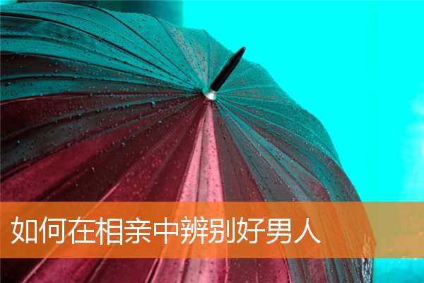 如何在相親中辨別好男人