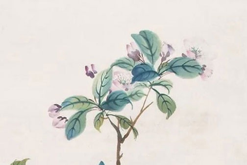 手掌上的婚姻線怎麼看 一條婚線到白頭