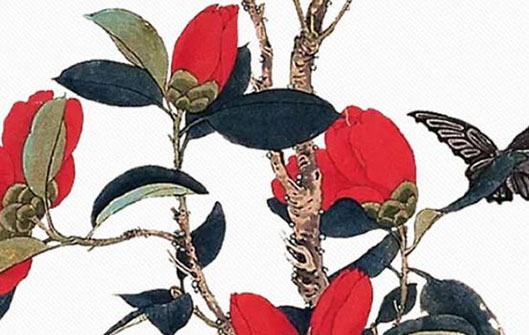 手相有財庫代表什麼意思 日子越過越富