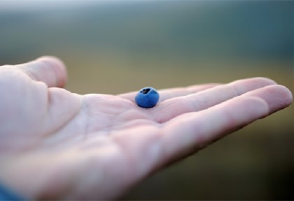 右手掌紋有個叉的人財運好 這些手相之人也是