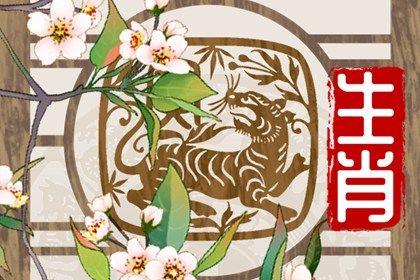 虎年屬什麼命 幸運花是富貴菊