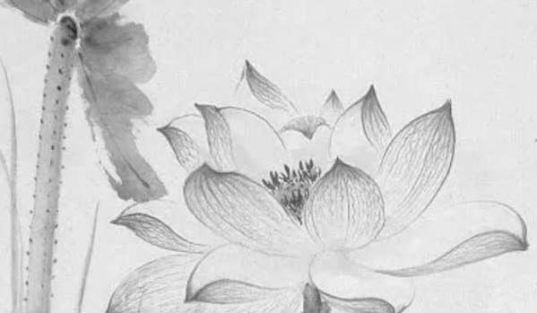 餓火命適合戴什麼首飾,喜歡什麼顏色數字