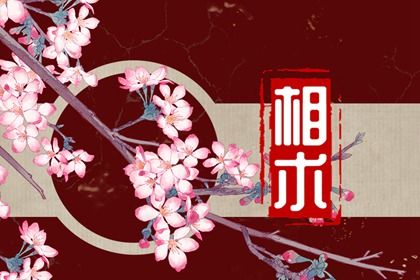 面部痣相大全 分析面部痣相的位置與命運