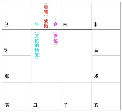 紫微斗數排盤怎麼看？