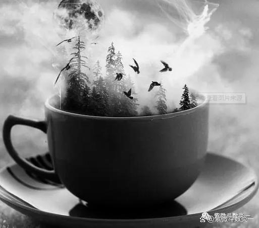 紫微斗數案例|靜態練習之命運多牟